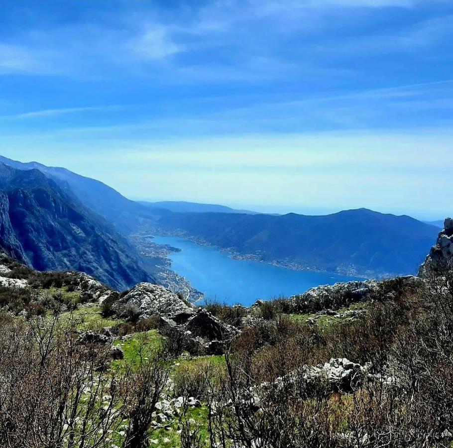Apartments Pejanovic Kotor Eksteriør bilde
