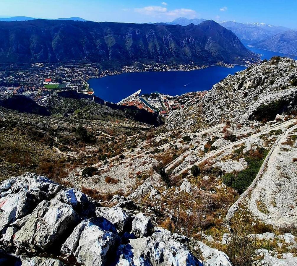 Apartments Pejanovic Kotor Eksteriør bilde