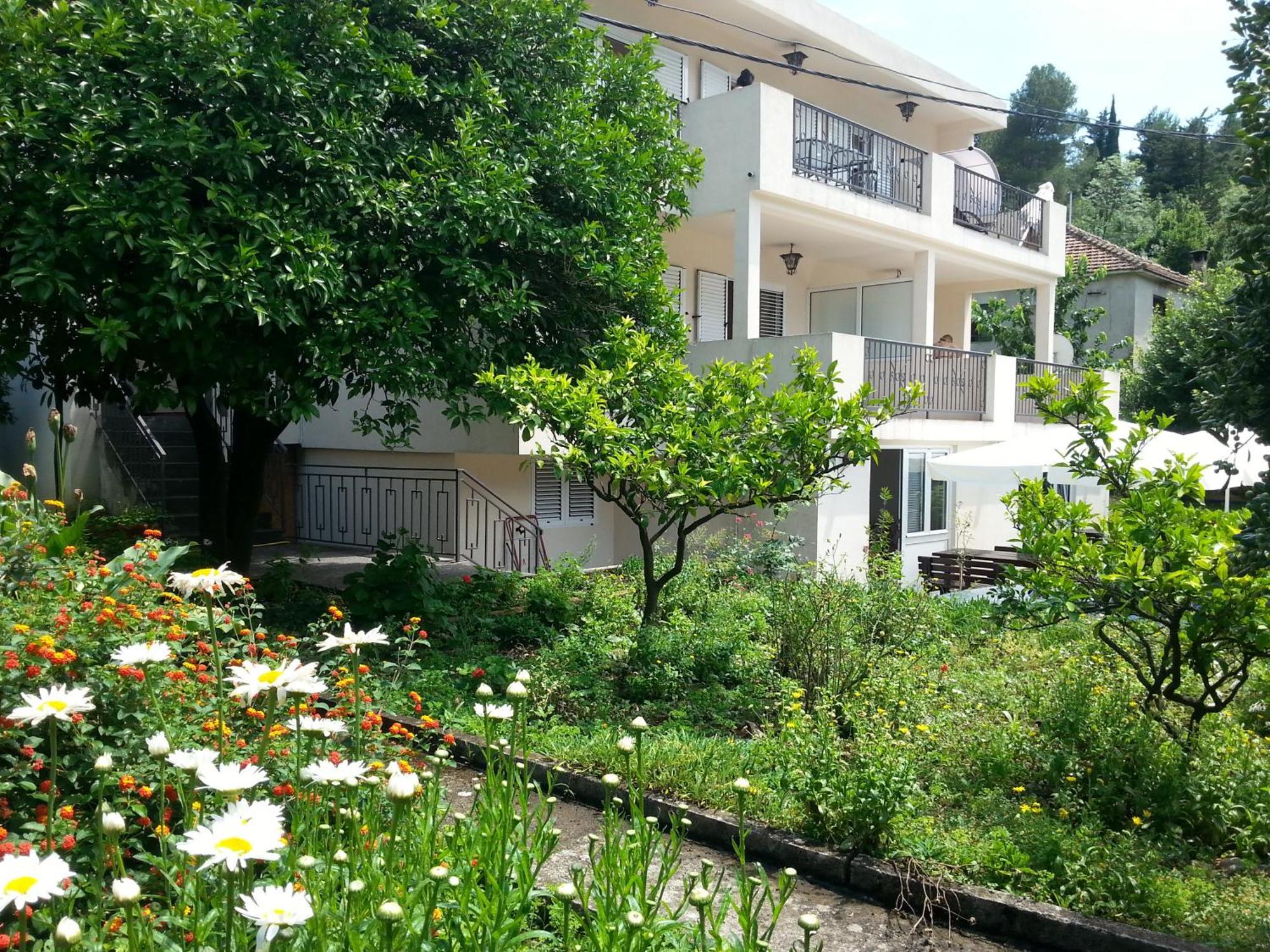 Apartments Pejanovic Kotor Eksteriør bilde
